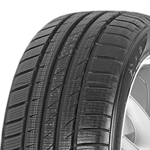 FORTUNA GOWIN UHP 205 55 17 95 V 68 D C1 D